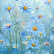 ヒメ日記 2025/05/30 13:19 投稿 小沢 熟女待機所 厚木店