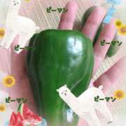 ヒメ日記 2025/06/06 08:16 投稿 小沢 熟女待機所 厚木店