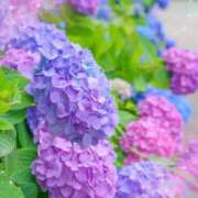 ヒメ日記 2025/06/11 09:38 投稿 小沢 熟女待機所 厚木店