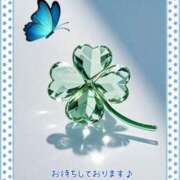 ヒメ日記 2025/06/12 10:01 投稿 小沢 熟女待機所 厚木店