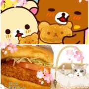 ヒメ日記 2025/06/14 11:22 投稿 小沢 熟女待機所 厚木店