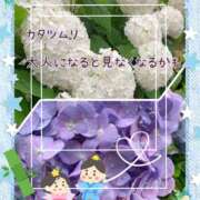 ヒメ日記 2025/06/15 06:56 投稿 小沢 熟女待機所 厚木店