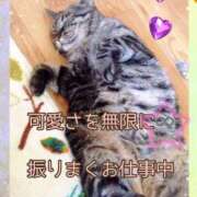 ヒメ日記 2025/06/23 07:44 投稿 小沢 熟女待機所 厚木店