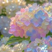 ヒメ日記 2025/06/23 13:22 投稿 小沢 熟女待機所 厚木店