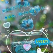 ヒメ日記 2025/06/25 05:25 投稿 小沢 熟女待機所 厚木店