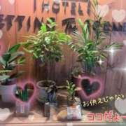 ヒメ日記 2025/06/27 22:59 投稿 小沢 熟女待機所 厚木店