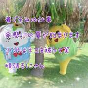 ヒメ日記 2025/07/04 08:10 投稿 小沢 熟女待機所 厚木店