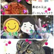 ヒメ日記 2025/07/08 08:27 投稿 小沢 熟女待機所 厚木店