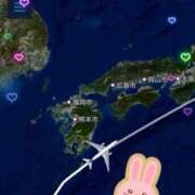 ヒメ日記 2025/07/29 14:26 投稿 小沢 熟女待機所 厚木店