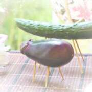 ヒメ日記 2025/08/09 21:51 投稿 小沢 熟女待機所 厚木店