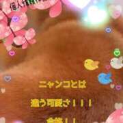 ヒメ日記 2025/08/19 05:41 投稿 小沢 熟女待機所 厚木店