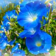 ヒメ日記 2025/08/26 07:23 投稿 小沢 熟女待機所 厚木店