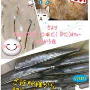 ヒメ日記 2025/08/28 18:48 投稿 小沢 熟女待機所 厚木店