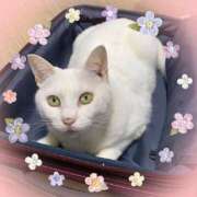 ヒメ日記 2025/08/29 07:24 投稿 小沢 熟女待機所 厚木店