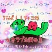 ヒメ日記 2025/08/31 14:35 投稿 小沢 熟女待機所 厚木店