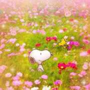 ヒメ日記 2025/09/06 13:06 投稿 小沢 熟女待機所 厚木店