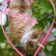 ヒメ日記 2025/09/27 08:26 投稿 小沢 熟女待機所 厚木店