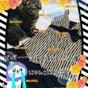 ヒメ日記 2025/09/30 07:06 投稿 小沢 熟女待機所 厚木店