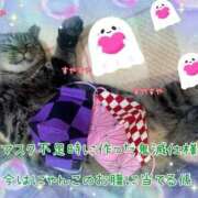 ヒメ日記 2025/10/10 06:46 投稿 小沢 熟女待機所 厚木店