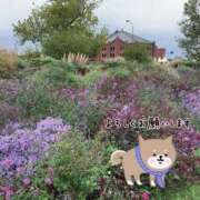 ヒメ日記 2025/10/15 20:06 投稿 小沢 熟女待機所 厚木店