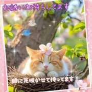 ヒメ日記 2025/10/16 11:26 投稿 小沢 熟女待機所 厚木店