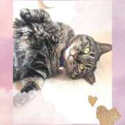 ヒメ日記 2025/10/17 14:26 投稿 小沢 熟女待機所 厚木店