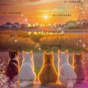 ヒメ日記 2025/10/29 17:26 投稿 小沢 熟女待機所 厚木店