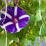 ヒメ日記 2025/10/30 07:06 投稿 小沢 熟女待機所 厚木店