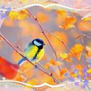 ヒメ日記 2025/11/15 09:06 投稿 小沢 熟女待機所 厚木店