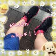 ヒメ日記 2025/11/17 07:25 投稿 小沢 熟女待機所 厚木店