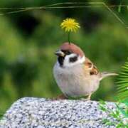 ヒメ日記 2025/11/18 10:25 投稿 小沢 熟女待機所 厚木店