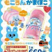 ヒメ日記 2025/11/19 09:05 投稿 小沢 熟女待機所 厚木店