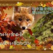 ヒメ日記 2025/11/20 12:05 投稿 小沢 熟女待機所 厚木店