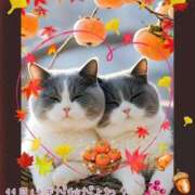 ヒメ日記 2025/11/26 05:25 投稿 小沢 熟女待機所 厚木店