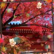 ヒメ日記 2025/12/03 07:05 投稿 小沢 熟女待機所 厚木店