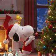 ヒメ日記 2025/12/23 07:45 投稿 小沢 熟女待機所 厚木店