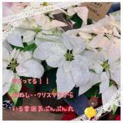 ヒメ日記 2025/12/29 16:45 投稿 小沢 熟女待機所 厚木店