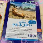 ヒメ日記 2026/01/22 12:45 投稿 小沢 熟女待機所 厚木店