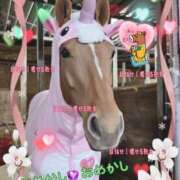 ヒメ日記 2026/01/29 08:05 投稿 小沢 熟女待機所 厚木店