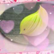 ヒメ日記 2026/02/06 09:05 投稿 小沢 熟女待機所 厚木店