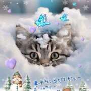 ヒメ日記 2026/02/08 09:05 投稿 小沢 熟女待機所 厚木店