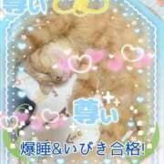 ヒメ日記 2026/02/15 06:25 投稿 小沢 熟女待機所 厚木店