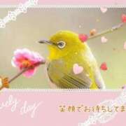 ヒメ日記 2026/02/19 09:05 投稿 小沢 熟女待機所 厚木店