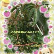 ヒメ日記 2026/02/26 10:06 投稿 小沢 熟女待機所 厚木店