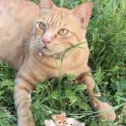 ヒメ日記 2026/03/16 11:06 投稿 小沢 熟女待機所 厚木店