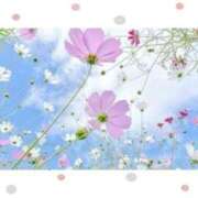 ヒメ日記 2026/03/18 09:26 投稿 小沢 熟女待機所 厚木店