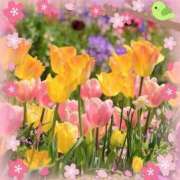 ヒメ日記 2026/03/20 05:06 投稿 小沢 熟女待機所 厚木店