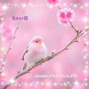 ヒメ日記 2026/03/26 11:26 投稿 小沢 熟女待機所 厚木店