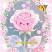 ヒメ日記 2026/03/27 07:26 投稿 小沢 熟女待機所 厚木店