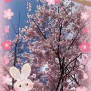 ヒメ日記 2026/03/27 16:26 投稿 小沢 熟女待機所 厚木店